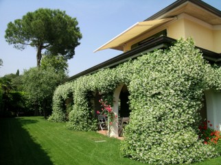 DSCN0700.JPG