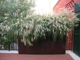 DSCN1065.JPG