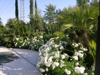 DSCN1196.JPG